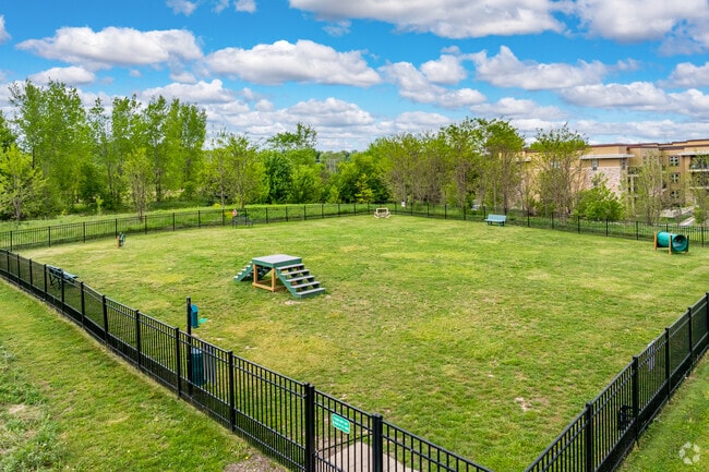 Dog Park