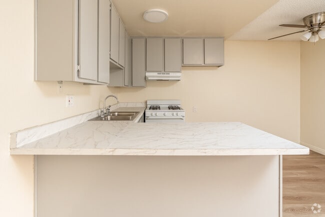 1BR, 1BA - 527SF - Kitchen