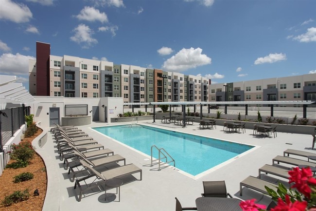 Photo - The Trio at Encore