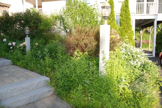 Photo - 285 East Side Dr