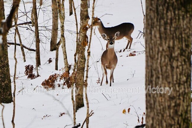 Photo - 1199 Berwick Rd