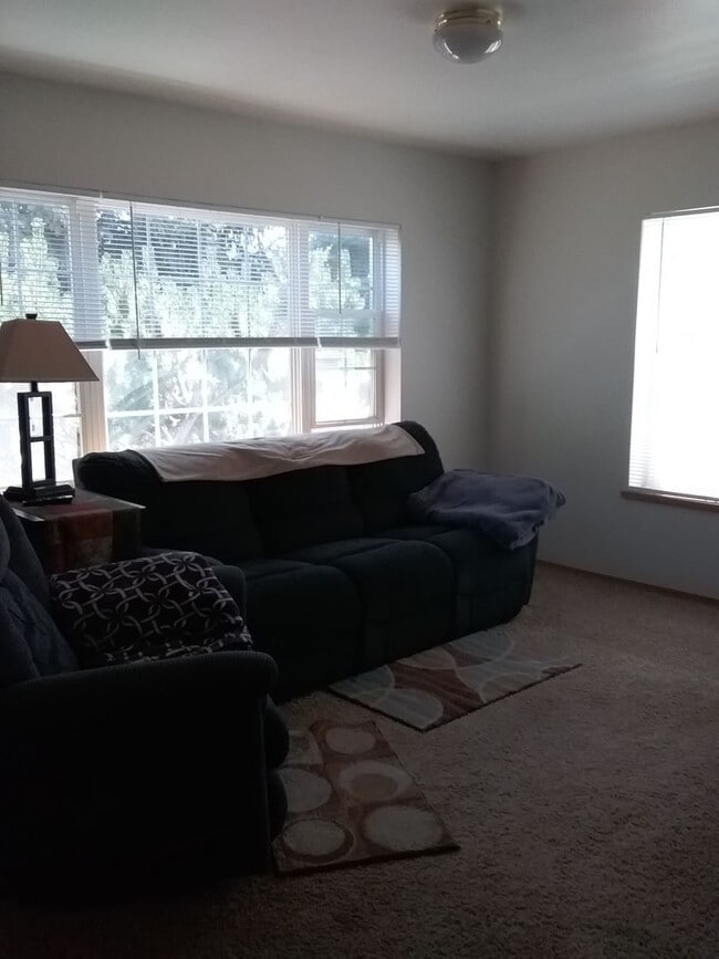 Photo - Great Newly Remodeled 3 bedroom 1 bath no ...