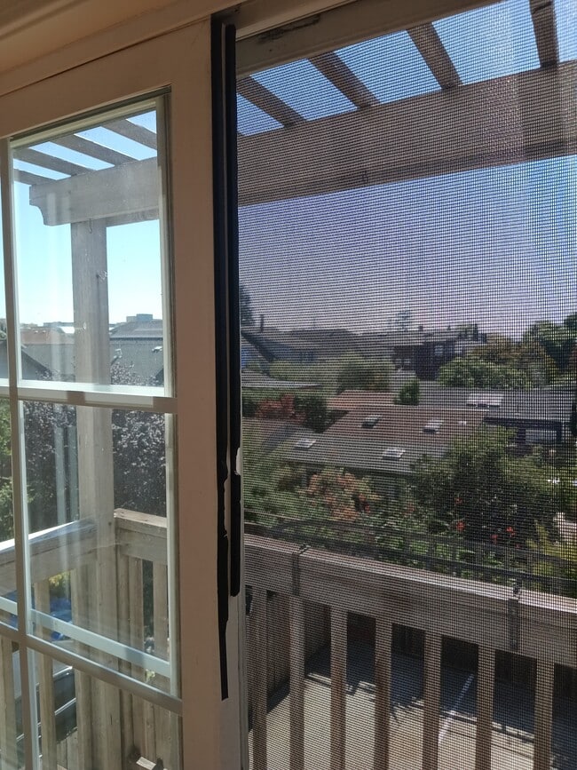 Bedroom with a view