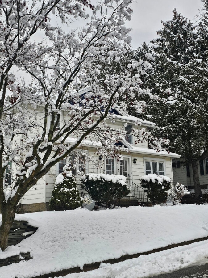 113 Clark St - 113 Clark St