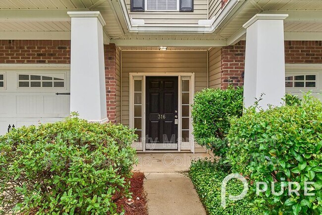 316 Saluda Springs Rd