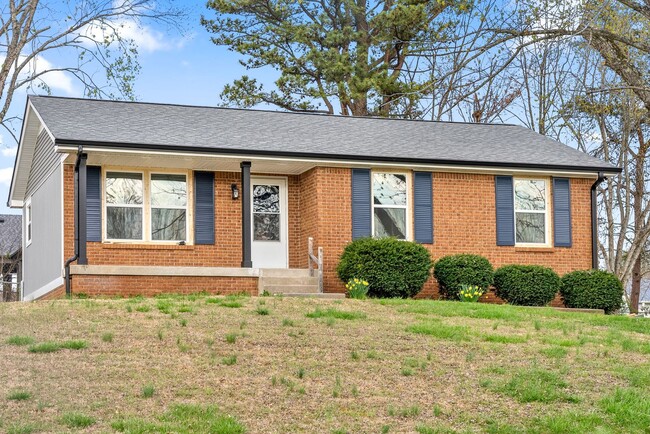 Photo - Newly Renovated 3 Bedroom Pet Friendly Hom...