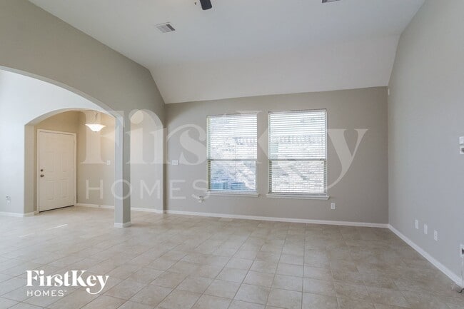 Photo - 331 American Black Bear