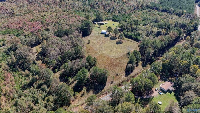 Photo - 6370 County Rd 91