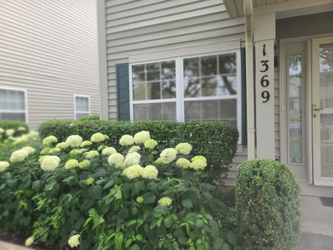 Photo - 1369 Orleans Dr Rental