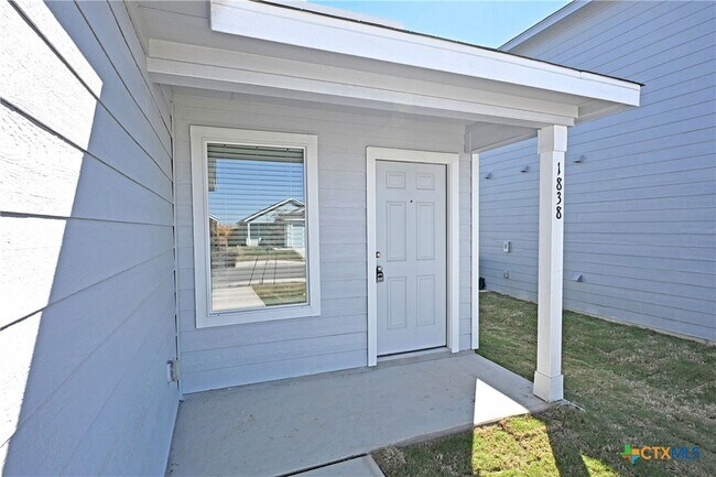 Photo - 1838 Musk Rose