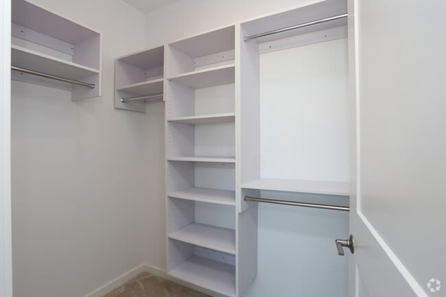 1HAB - Pizzazz - Vim Vigor Lofts