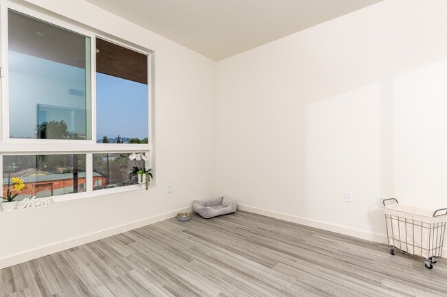 Photo - zMacro at Echo Park