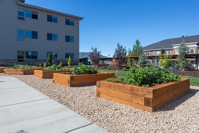 Grow Boxes