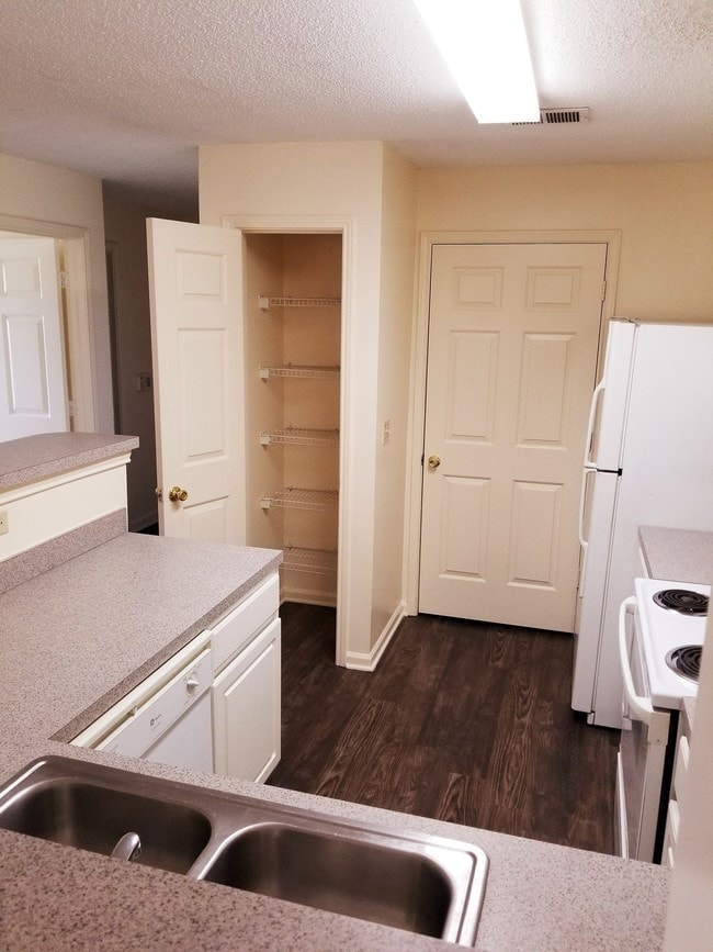 Photo - Camellia Trace