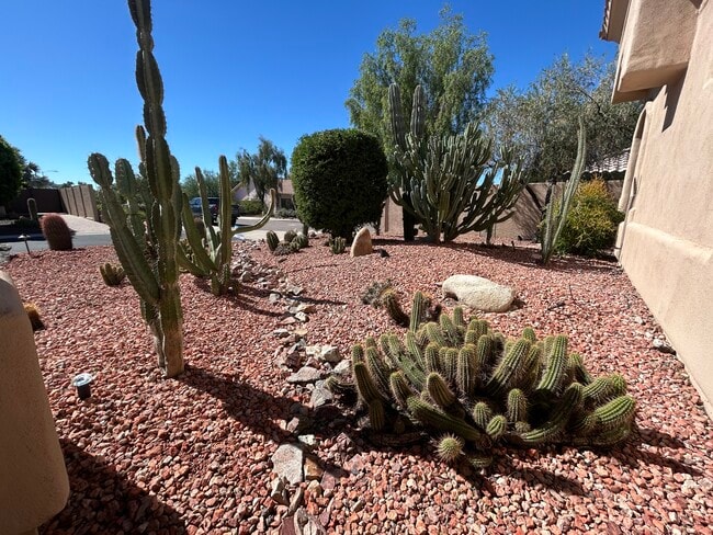 Photo - 14037 N 10th Pl