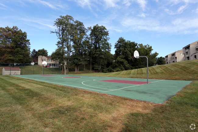 Basketball Court