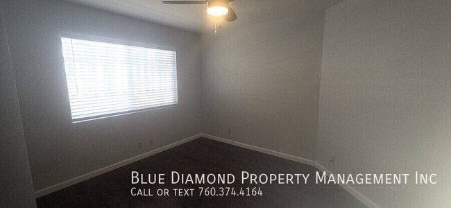 241 Delphinium-