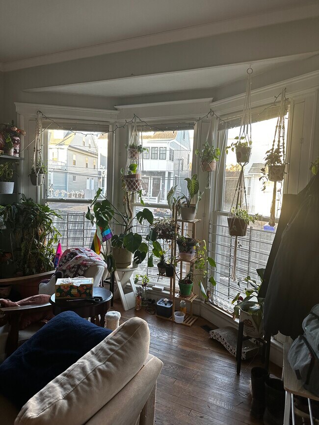 Photo - 76 Linden St