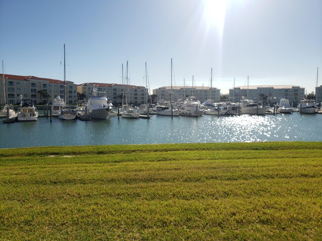 Building Photo - 9 Harbour Isle Dr E Unit 102 Rental