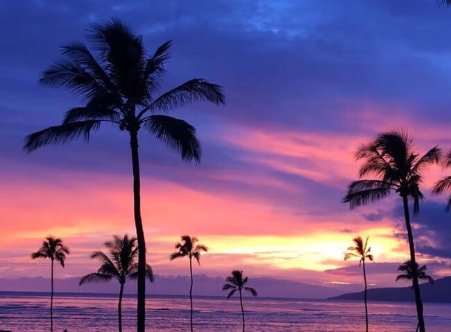 Building Photo - 938 S Kihei Rd