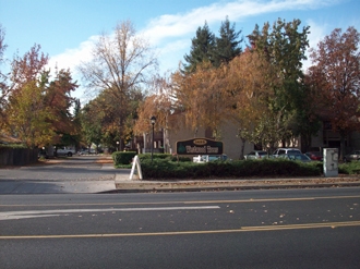 034 - Westwood Trees - 034 - Westwood Trees Apartments