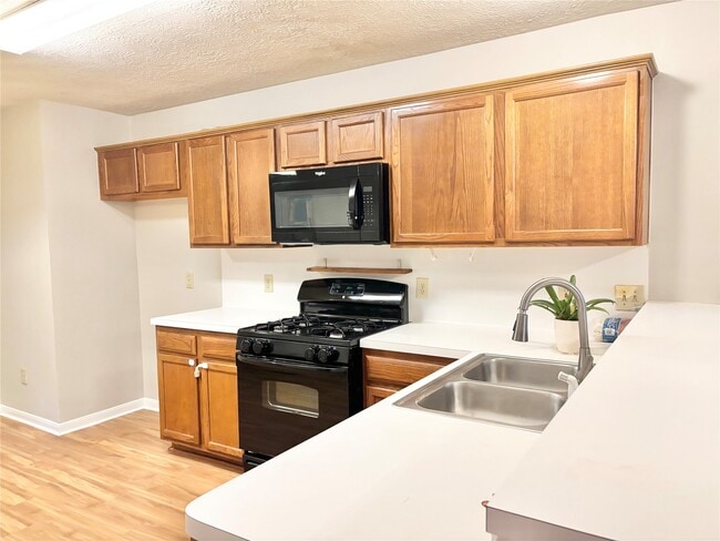 15919 Blue Mesa Ridge Dr