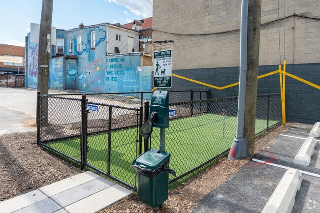 Dog Park