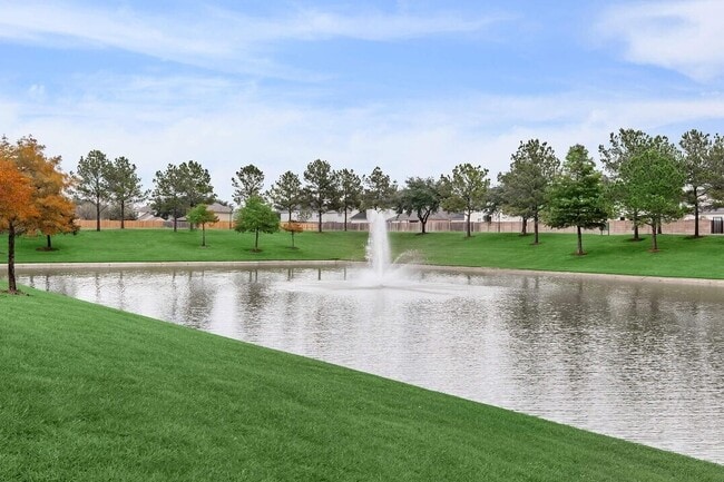Peaceful Walking Trail