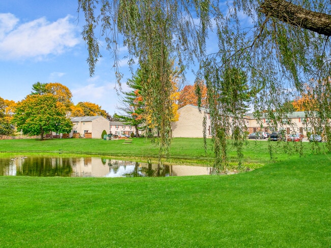 Photo - Damato Apartments