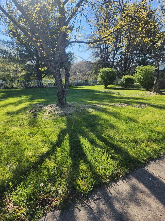Sue Terrace