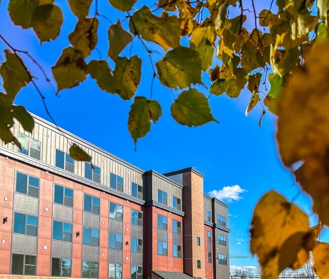 Photo - Jennings Village