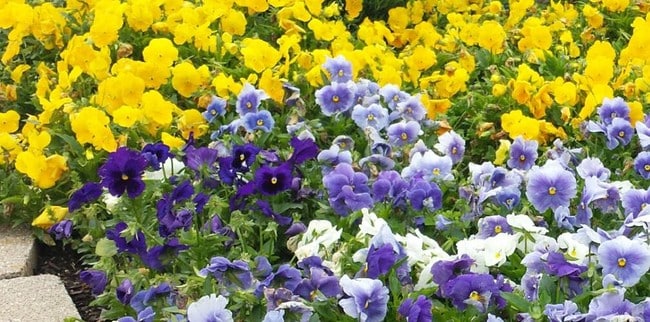 Photo - Waterford at the Park Apartments