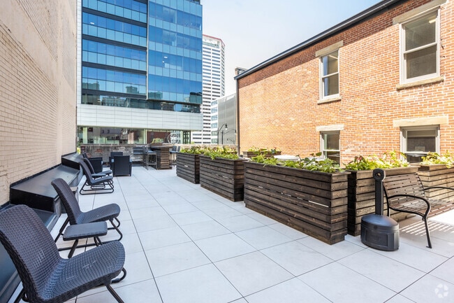 Rooftop Garden