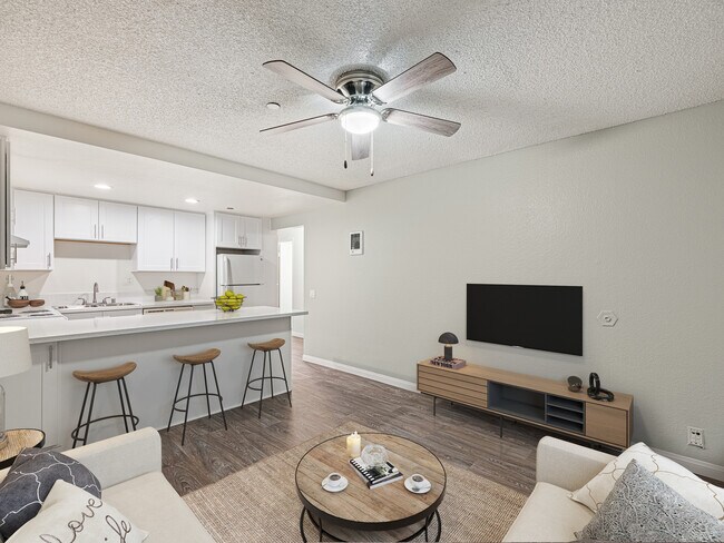 REMODELED 3 BED 2 BATH - Aztec Campus Apartments