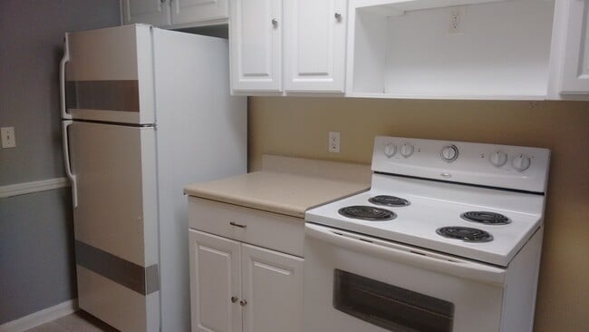 New Kitchen Fridge and Stove - 600 Audubon Lake Dr Unit 3A14