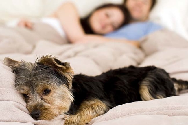 Photo - THE MARINA APARTMENTS