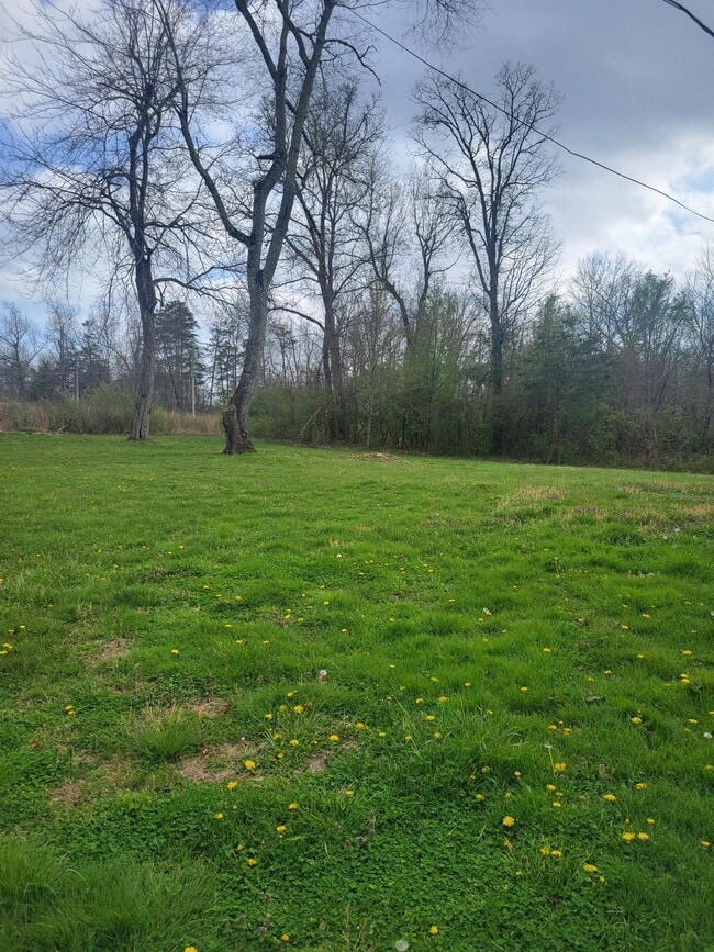 Photo - 104 Bent Tree Dr