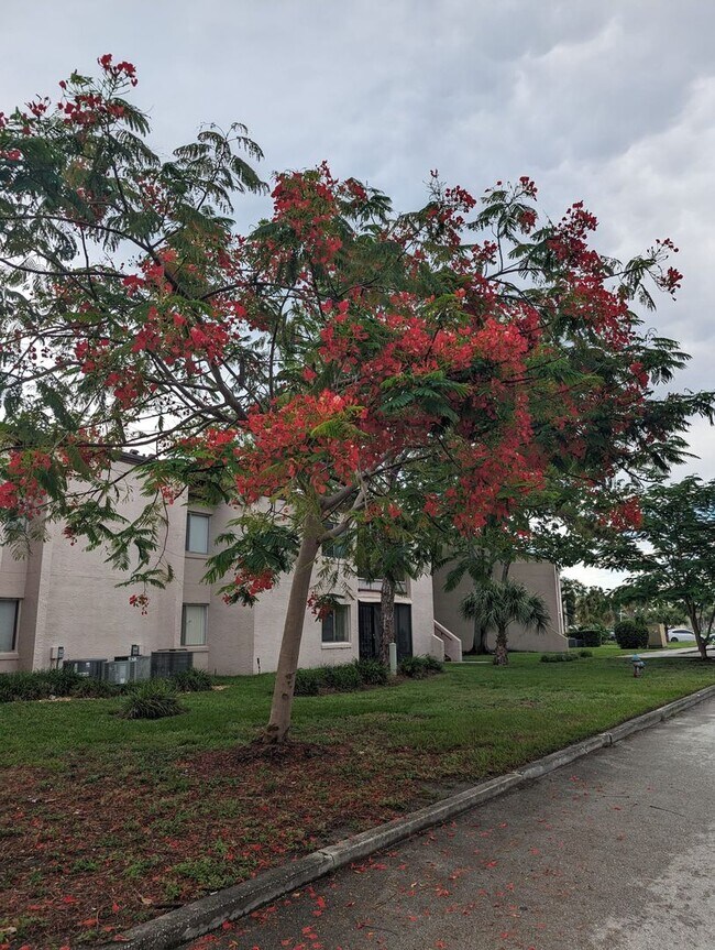 Photo - Completely new remodeled 2 bedroom 2 baths... Unidad 306