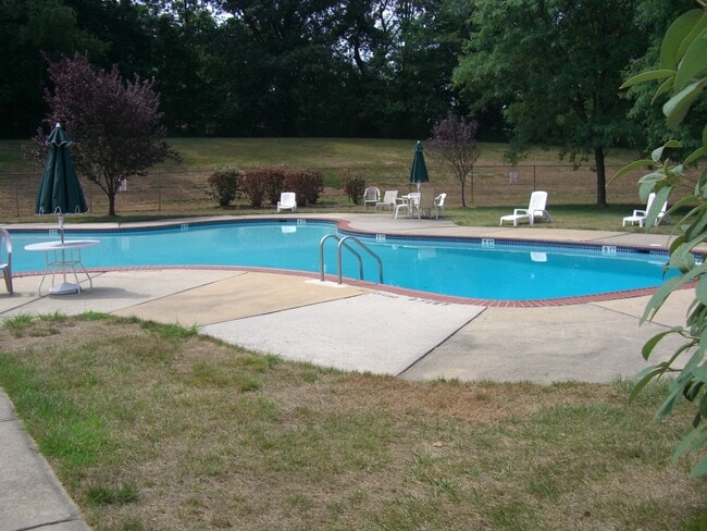 Association Pool - 211 Meadow Woods Ln Unit 211