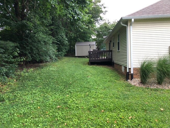 Back Yard - 36 W Paris St