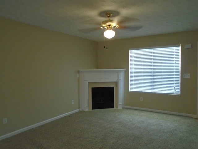 Photo - 812 Carlton Pointe Pl