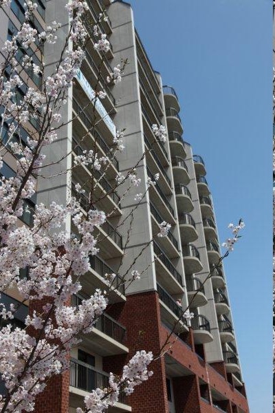 The Regency