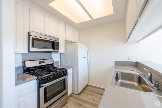 1BR, 1BA - 800SF - Kitchen