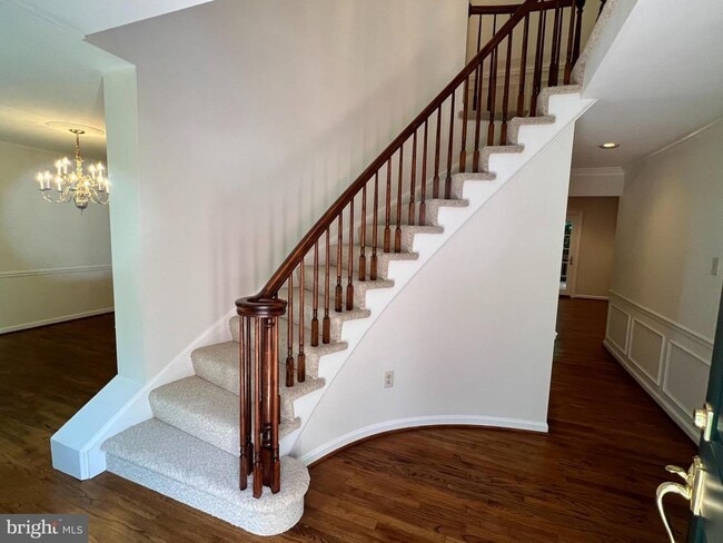 Photo - 10101 Alsace Ct