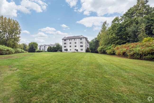Spacious Lawn
