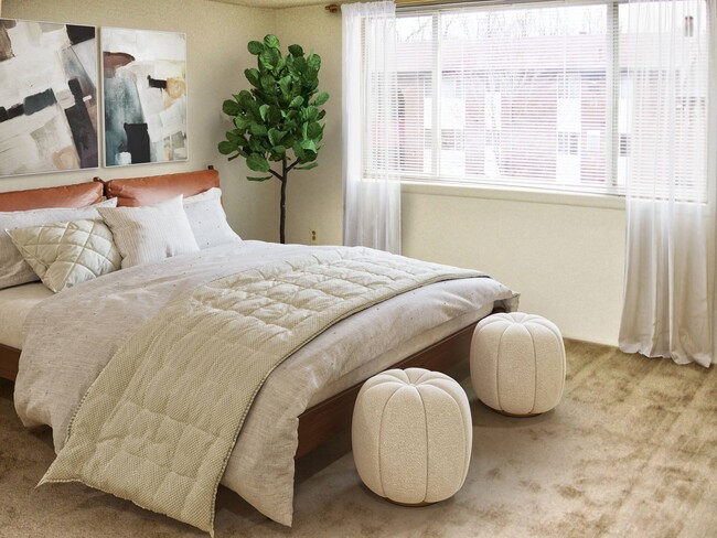 Photo - Cranberry Run