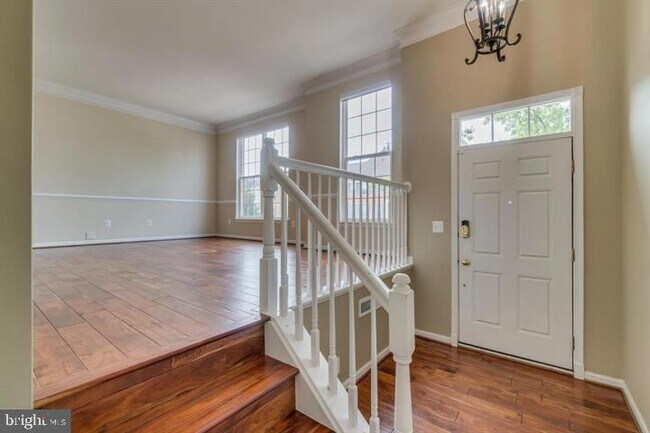 Photo - 20024 Northville Hills Terrace