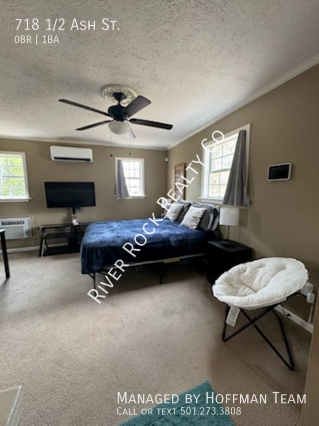 718 1/2 Ash Street - SHORT TERM RENTAL - 718 1/2 Ash Street - SHORT TERM RENTAL