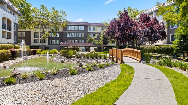 Courtyard with Pond - Northpark Apartments