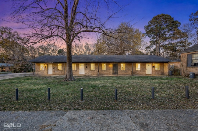 Building Photo - 117 E Olive St Unit 117 E Olive B